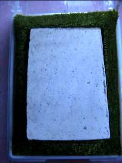 พระสมเด็จ พิมพ์วัดระฆัง รุ่นเดือนเพ็ญ กล่องเดิม ปี36