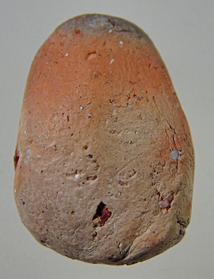 พระเม็ดบัวเจ้าคุณโพธิ์ วัดชัยพฤกษ์มาลา