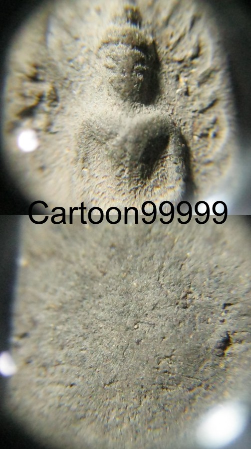 พระรอด เนื้อเทา ยุคต้นวัดไผ่ฯ หลวงพ่อสงวน วัดไผ่พันมือ สุพรรณบุรีครับ หายากครับผม