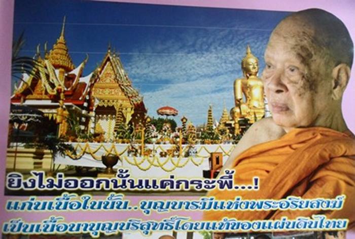 เหรียญใบขี้เหล็กหนุนดวง พิมพ์เล็ก หลวงปู่แผ้ว ปวโร วัดหนองพงนก นครปฐม ปี2551 เนื้อทองฝาบาตร