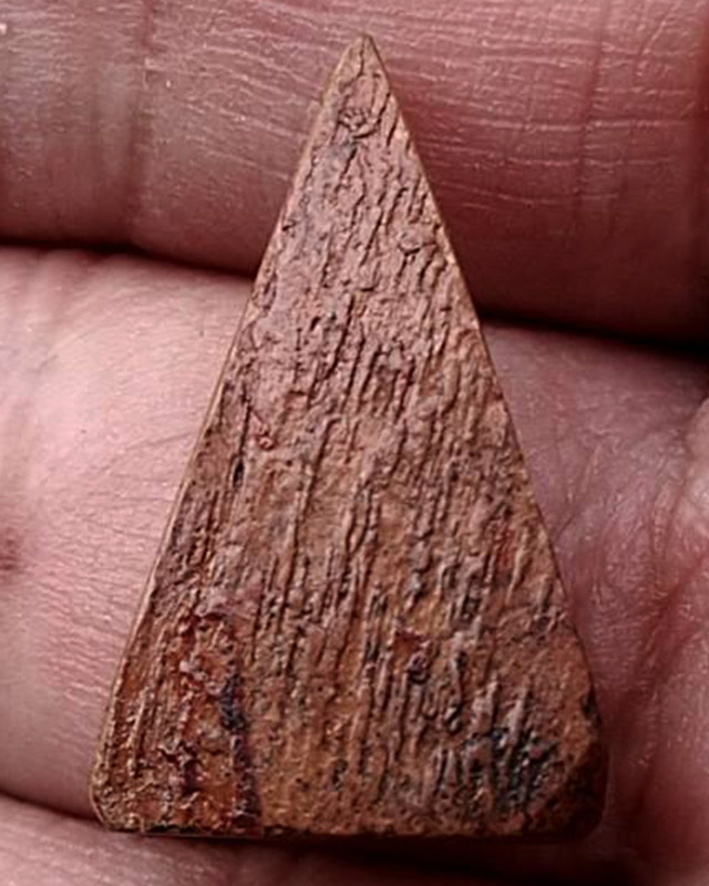 นางพญาเนื้อดิน ปิดทอง สูง 2.3 ซ.ม. ไม่ทราบที่ พระบ้านเก่าเก็บ หลายสิบปี