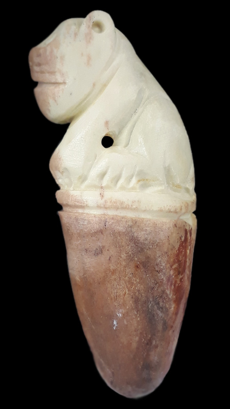 เสือนั่งเขี้ยวเขากวางมูส หลวงพ่อสิน วัดละหารใหญ่ จ.ระยอง ปี2558