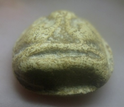 **วัดใจ**พระปิดตาหลังแบบ เนื้อผงพุทธคุณ เก่าๆ ไม่ทราบที่**เนื้อจัด สวยๆ เชิญชมครับ