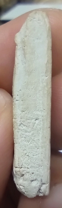 สมเด็จเผ่า วัดอินทร์ ปี ๒๔๙๕