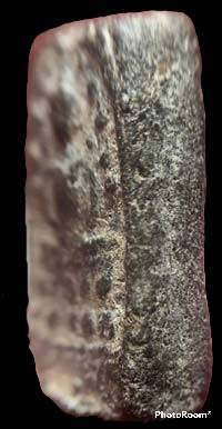 *พระว่านยา หลวงพ่อชื่น วัดป่ามุนี อ่างทอง พิมพ์ปรกโพธิ์เม็ด ระฆังหลังฆ้อน*