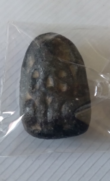 พระผงกระดูกผีอาจารย์หนู วัดโพธิ์ท่าเตียน สร้างปี2484