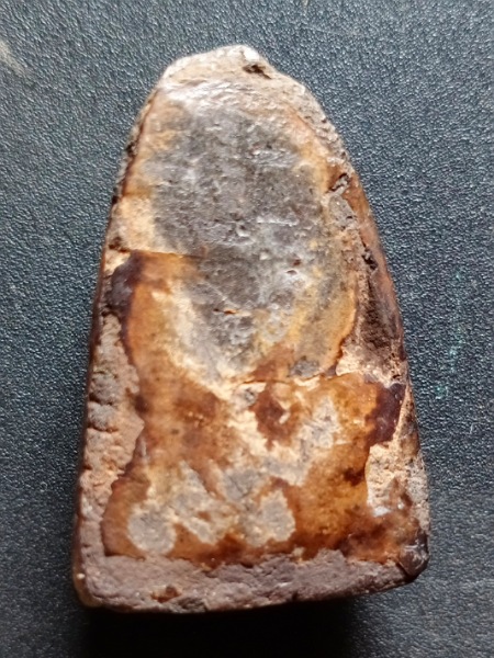 หลวงปู่ทวด เอ็ม16 เคาะเดียว