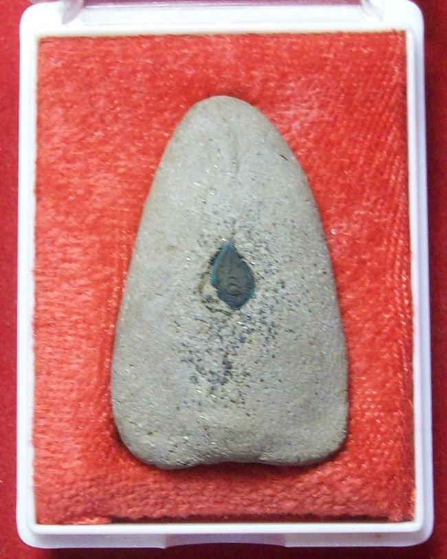 หลวงพ่อทวด รุ่นสร้างพระตำหนักฯ ร.๙ อ.ปากพนัง พ.ศ. 2541 พิมพ์ใหญ่