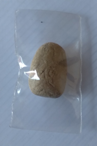 พระผงพิมพ์วัดพลับเจ้าคุณสุพจณ์ วัดสุทัศน์