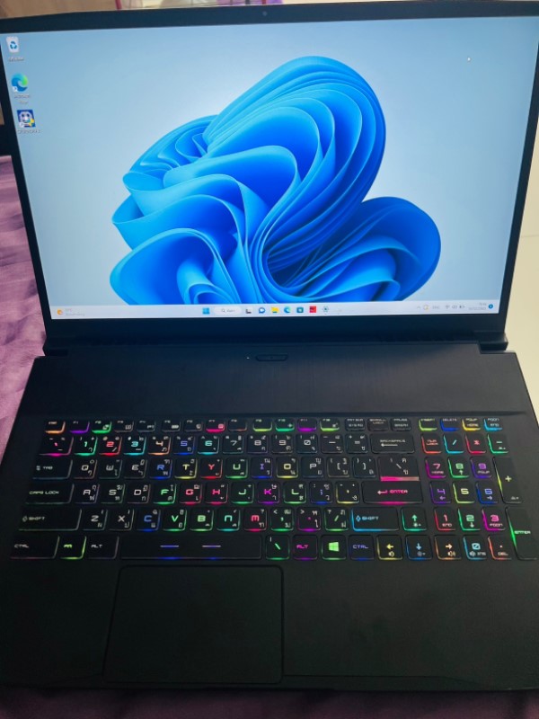 MSI Bravo 17 A4DDK Ryzen7 2.9Ghz,การ์ดจอแยก4GB,Ram20GB,SSD512GB,จอ17.3”144Hzคีย์บอร์ดไฟsRGB,แบตเก็บไ