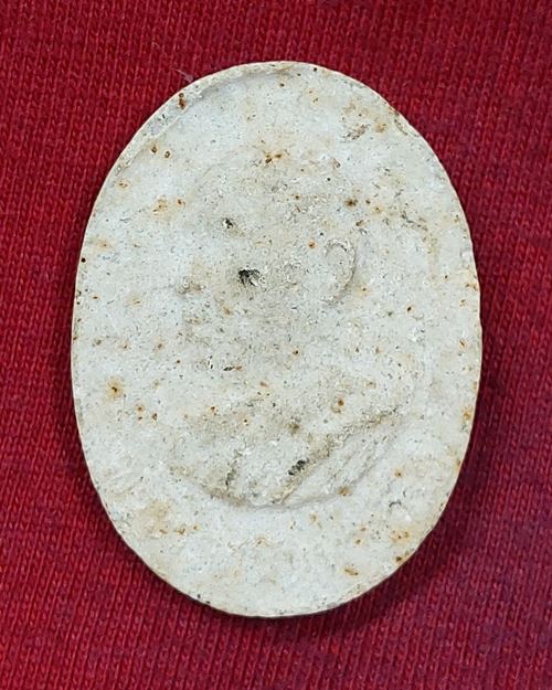 พระผงรูปเหมือน พระราชนันทาจารย์ (หลวงพ่อผล) วัดเชิงหวาย อายุครบ84ปี หลังหลวงพ่อสัมฤทธิ์ บางซื่อ 2539