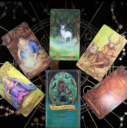 ไพ่ยิปซี Forest of Enchantment Tarot อย่างสวย โดย Lunaea Weatherstone ชุดสุดสวยติดอันดับ