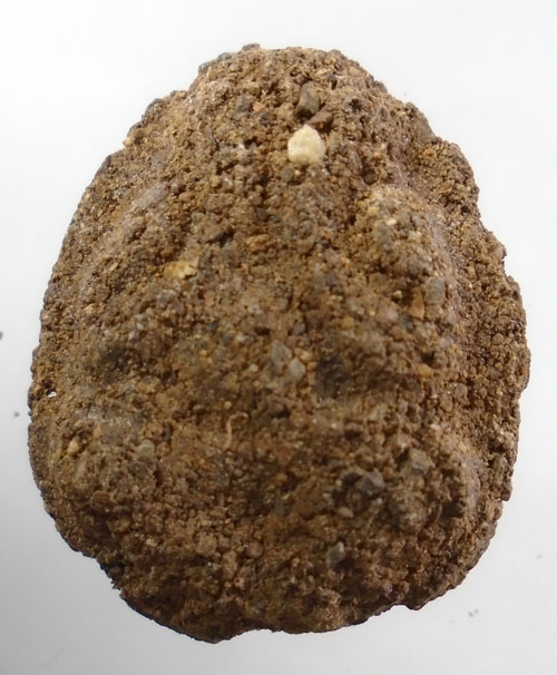 20บาท ..พระปิดตา ไม่ทราบที่//282