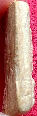 *แม่นางกวัก ผงบางขุนพรหมล้วน พิธีวัดประสาทบุญญาวาส กทม. ปี๒๕๐๖*