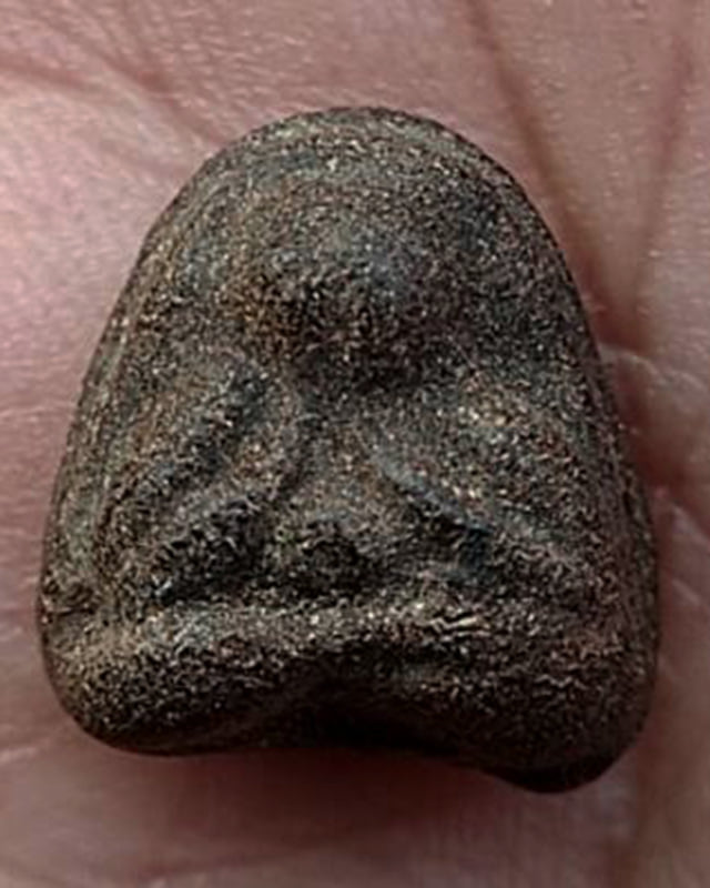 ปิดตาหลวงพ่อปาน วัดเครือวัลย์ ชลบุรี พิมพ์เล็กหลังเบี้ย สูง 1.3 ซ.ม. ผสมผงเก่า ลพ.แก้ว ปี 250กว่า