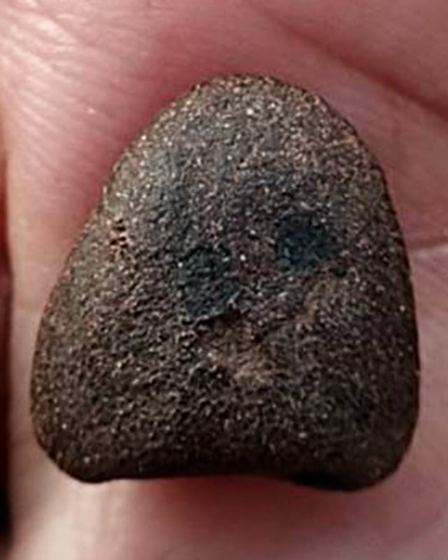 ปิดตาหลวงพ่อปาน วัดเครือวัลย์ ชลบุรี พิมพ์เล็กหลังเบี้ย สูง 1.3 ซ.ม. ผสมผงเก่า ลพ.แก้ว ปี 250กว่า