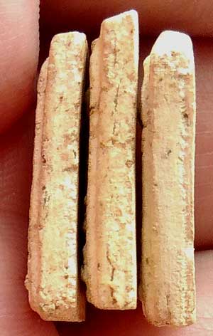 *พิมพ์คะแนน เนื้อผง วัดประสาทบุญญาวาส กทม. ปี๒๕๐๖*