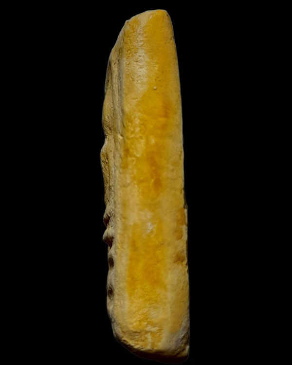 พระสมเด็จกรุวัดลาดบัวขาว พิมพ์เจดีย์ใหญ่ ปี 2485 หลวงพ่อชาญณรงค์ อภิชิโต ปลุกเสก