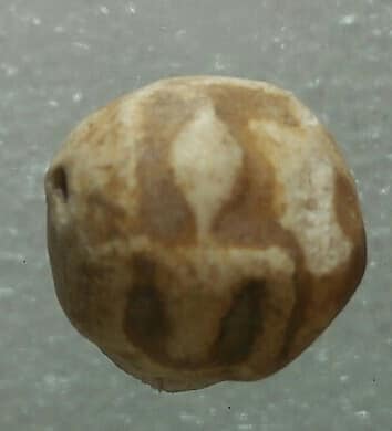 พระสมเด็จม้วน เจาะรู ไม่ทราบที่ 