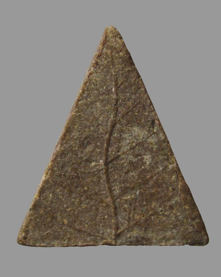 สมเด็จแสนหลังใบไม้ สมเด็จพระสังฆราชป๋า พิมพ์เล็ก ปี 2512 วัดโพธิ์ กรุงเทพฯ