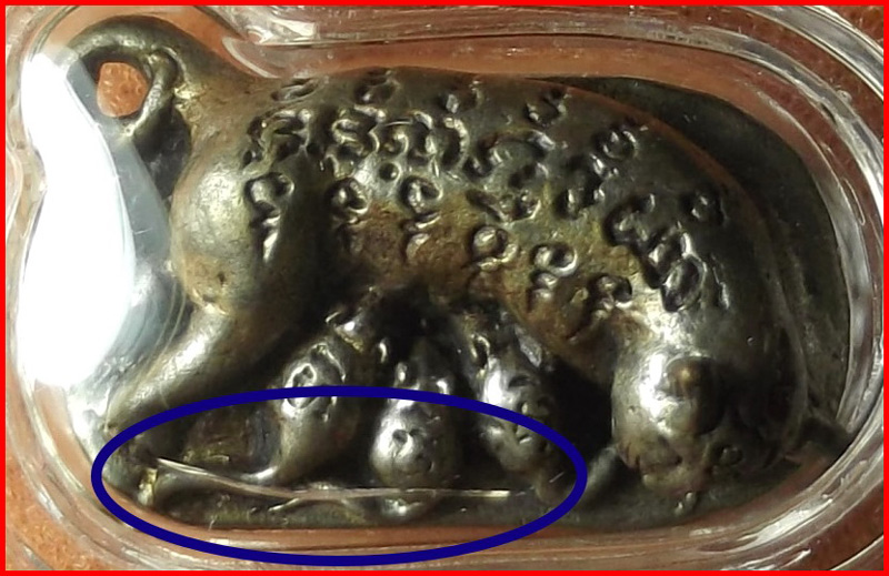 หนูดูดนมแมว อาบน้ำมันหนูดูดนมแมว หลวงพ่อสุพจน์ วัดศรีทรงธรรม นครสรรค์ เนื้อทองผสม สุดยอดเมตตา