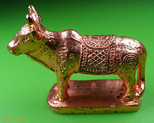 วัวธนูหลวงพ่อแสวง วัดโยธินประดิษฐ์ สมุทรปราการ .2003.*