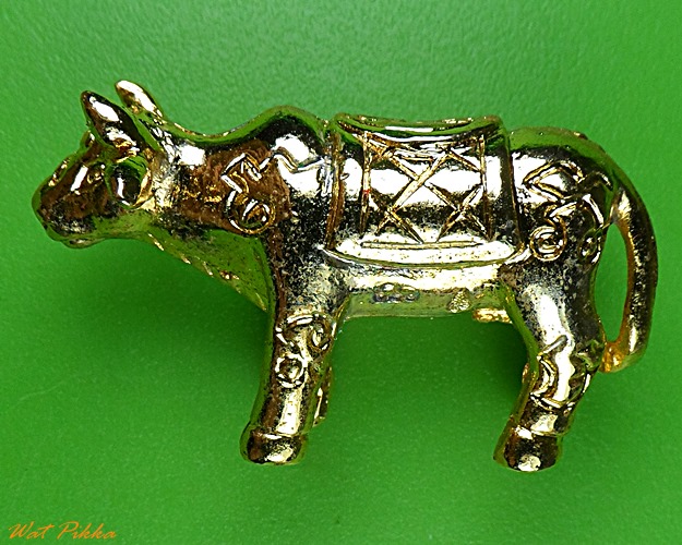 วัวธนูหลวงพ่อแสวง วัดโยธินประดิษฐ์ สมุทรปราการ .2011.*