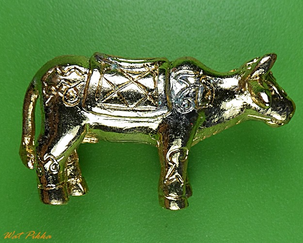 วัวธนูหลวงพ่อแสวง วัดโยธินประดิษฐ์ สมุทรปราการ .2011.*