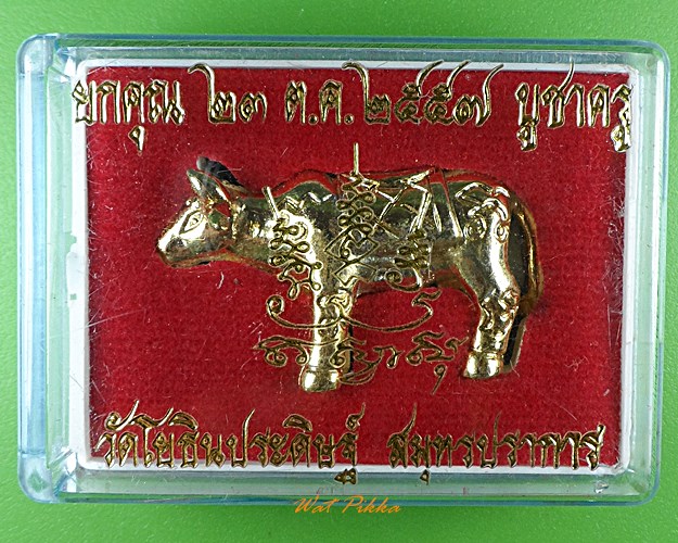 วัวธนูหลวงพ่อแสวง วัดโยธินประดิษฐ์ สมุทรปราการ .2011.*