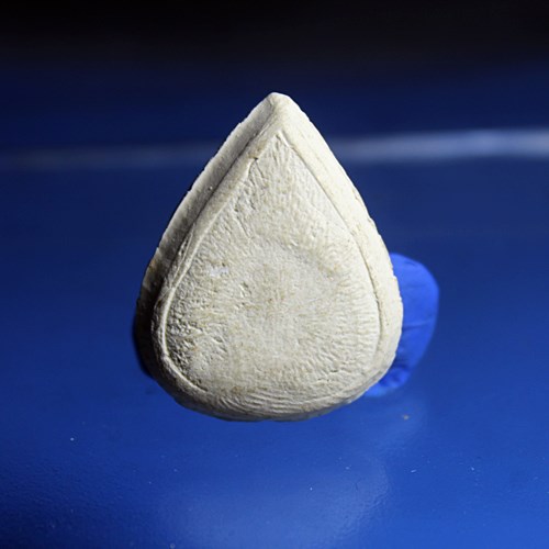 B794พระหลวงพ่อวัดไร่ขิง พิมพ์หยดน้ำ เนื้อผง สร้างโรงพยาบาล วัดไร่ขิง ปี2522 สภาพสวยๆ