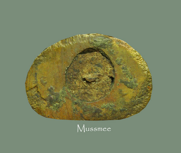 พระปิดตากั่วเผาะ หลวงพ่อชู วัดหินเหล็กไฟ สุดยอดพระเมตรามหานิยม พระสวยยยยยยย พุทธคุณแรง ครับ