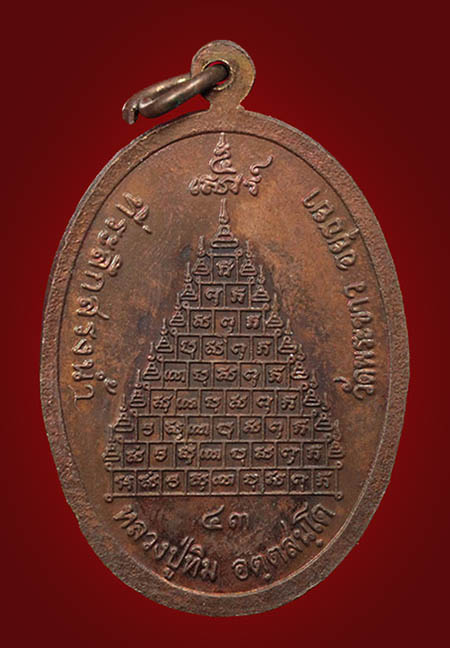 เหรียญนาคปรก เนื้อทองแดง มีจาร นะ ชา ลี ติ หลวงปู่ทิม วัดพระขาว อยุธยา ปี 2543