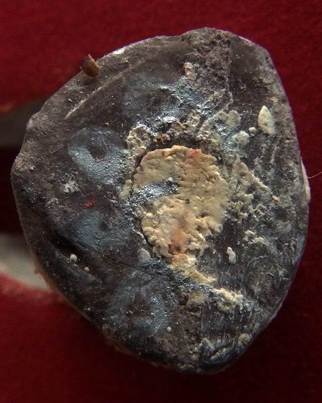 21.กุมารทองโชคทวี เนื้อผงดินเจ็ดป่าช้าอุดด้วยผงพรายกุมาร หลวงปู่คำบุ วัดกุดชมพู จ.อุบลฯ พร้อมกล่อง