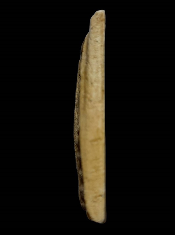 พระสมเด็จหลวงตาพัน พิมพ์ใหญ่ วัดใหม่อมตรส กทม.ปี 2502