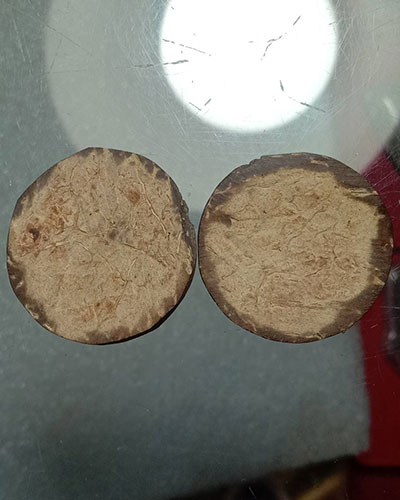 กะลาตาเดียวแกะราหู รับ 2 องค์