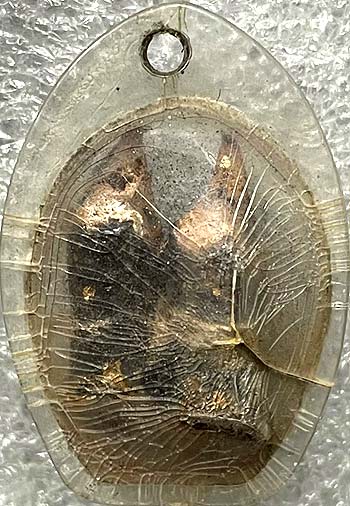 *สาริกาคู่ หลวงพ่อเคน วัดถ้ำเขาอีโต้ ปราจีนบุรี*