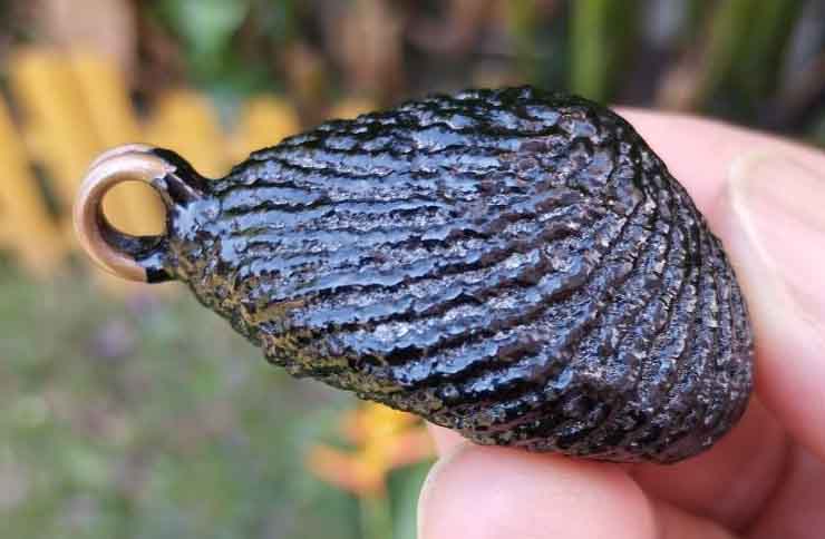 เบี้ยแก้ถัก หลวงปู่เจือ วัดกลางบางแก้ว จังหวัดนครปฐม ปรอทวิ่งดีครับ สวยเดิมๆ หูเดียว รับประกันแท้ตลอ