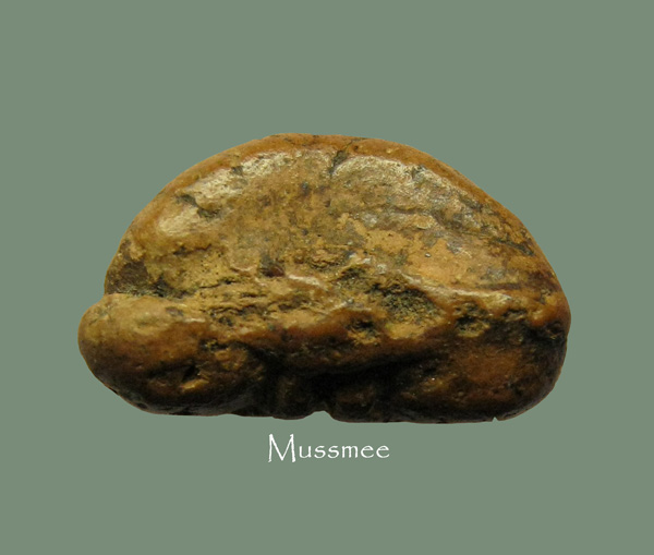 พระปิดตามหาอุด วัดหลวงฯสรรพยา (พระปิดตาในตำนานเมืองชัยนาท) 