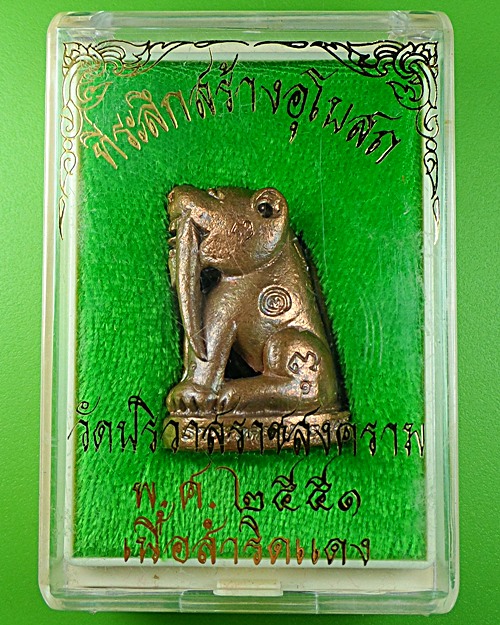 เสือเขี้ยวดาบ(ใหญ่) วัดปริวาสราชสงคราม กทม. .877.