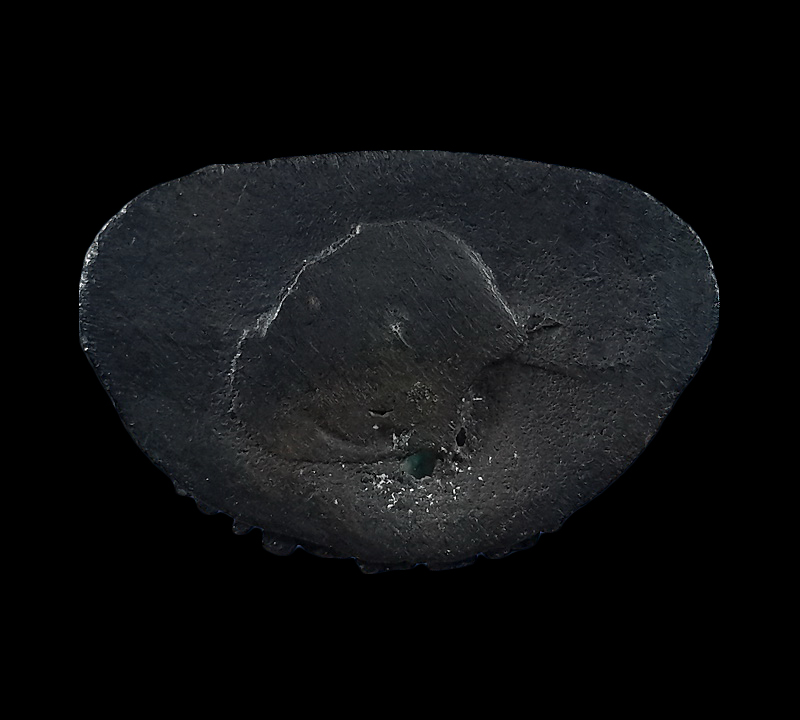 พระกริ่งปริสุทโธ หลวงพ่อคูณ วัดบ้านไร่ รุ่นชนะศึก 