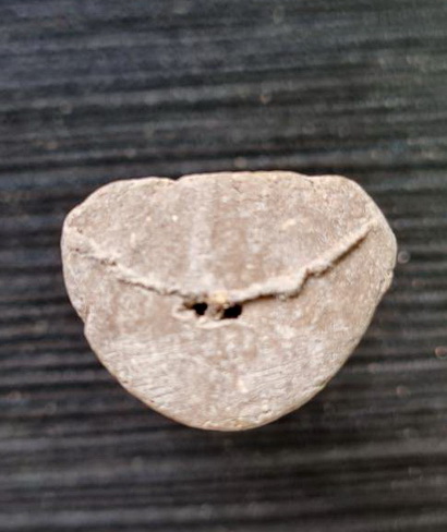 พ่อปู่ฤาษีนารอด ๒๕๔๖...เนื้อผงมงคล.. .หลวงพ่อดำ วัดเขาพูลทอง จ.จันทบุรี / ไม่มีซองเดิม