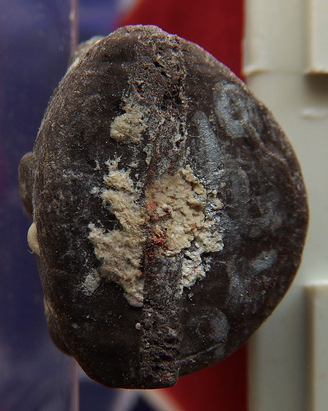 8.กุมารทองโชคทวี เนื้อผงดินเจ็ดป่าช้าอุดด้วยผงพรายกุมาร หลวงปู่คำบุ วัดกุดชมพู จ.อุบลฯ พร้อมกล่อง