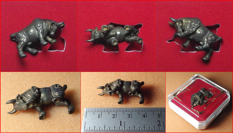 วัวธนูรุ่นแรก ครูบาศรีมรรย์ วัดบ่อเต่า จ.เชียงใหม่ เนื้อนวโลหะ ปี 2558 หมายเลข 244