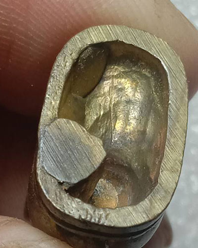 เสือเนื้อโลหะะผสม ตอกโต็ตเสือ