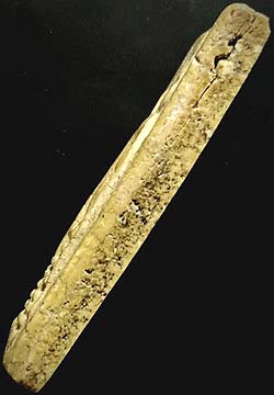 *สมเด็จฯซุ้มระฆัง เนื้อผง หลวงปู่นาค วัดระฆังฯ ปี๒๔๙๕*