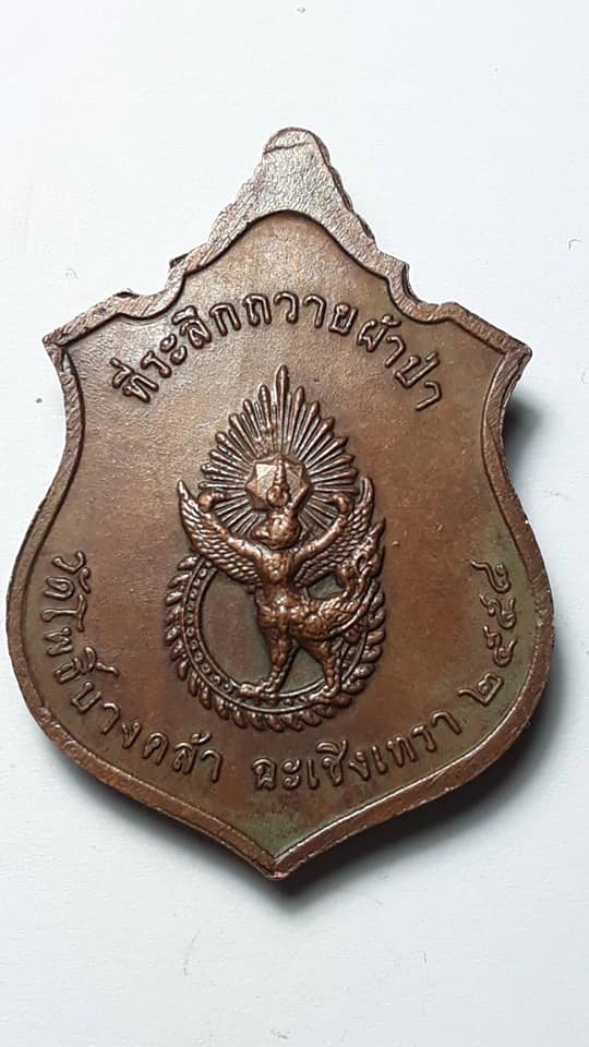 เหรียญสมเด็จพระเจ้าตากสินมหาราช วัดโพธิ์บางคล้า ฉะเชิงเทรา ปี 2558