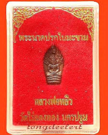 พระนาคปรกใบมะขาม หลวงปู่หลิว วัดไร่แตงทอง รุ่นแรก ปี 2535 สวยมากค่ะ