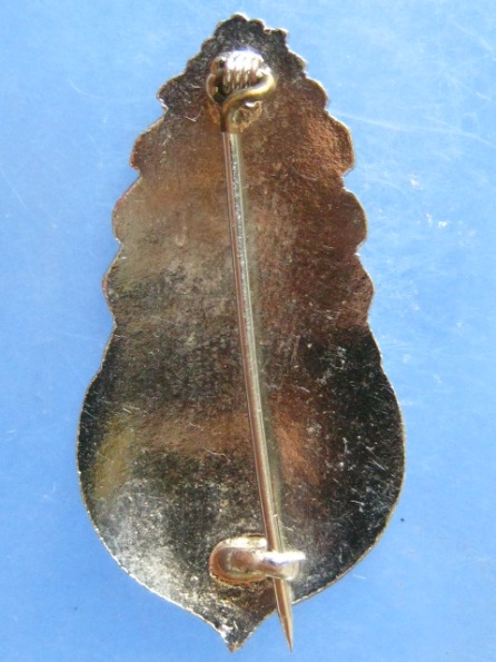 เข็มกลัด พระครูพิบูลวิหารธรรม