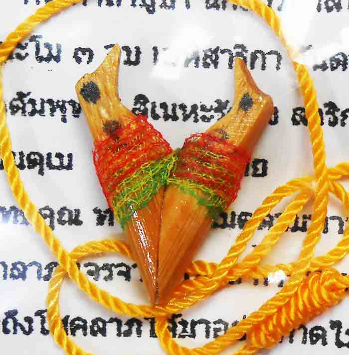 **100 คู่**สาลิกาลิ้นทอง 