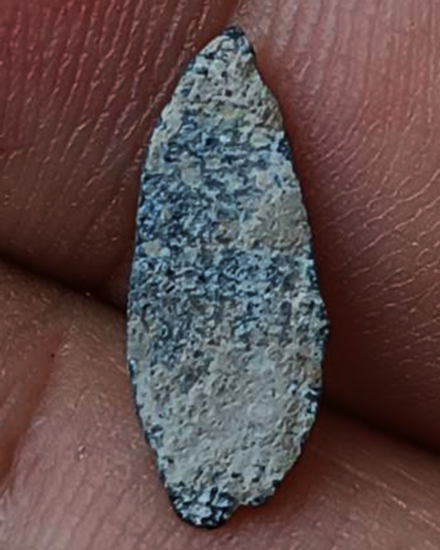 3.พระพิจิตรเม็ดข้าวเม่า เนื้อชิน แตกกรุปี 2555 วัดดงยาง ต.บ่อทอง อ.บางระกำ จ.พิษณุโลก และนำเข้าพิธีพ